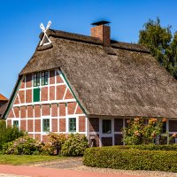 &copy; Daniela - stock.adobe.com