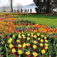 &copy; bonline - fotolia.com