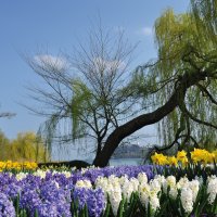 &copy; bonline - fotolia.com