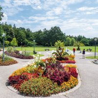 © Animaflora PicsStock - stock.adobe.com