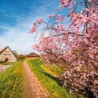 &copy; powell83-stock.adobe.com