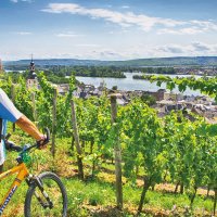 © Rüdesheim Tourist AG