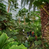 &copy; Tom Wolf/Palmengarten   