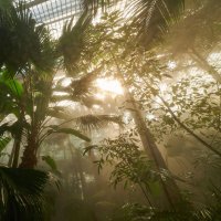 &copy; Tom Wolf/Palmengarten   