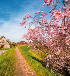  © powell83-stock.adobe.com