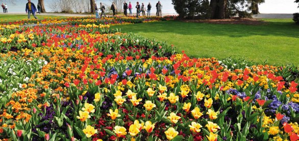 Blumeninsel Mainau &copy; bonline - fotolia.com