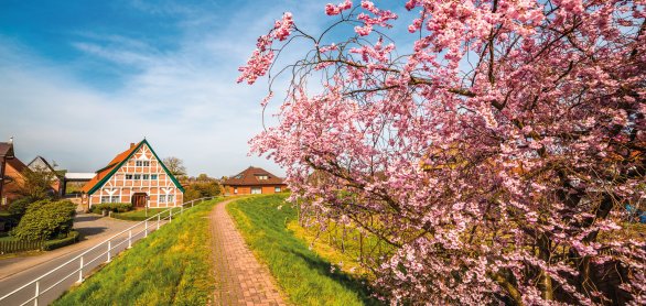 Altes Land zur Blütezeit &copy; powell83-stock.adobe.com
