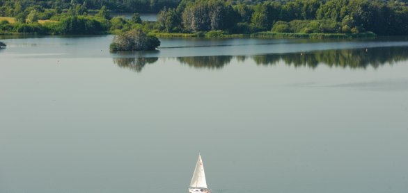 Panoramablick bei Absberg auf den Brombachsee © FrankenTourismus/NFS/Hub