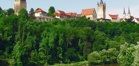Die Burgenstraße - Stadtpanorama, Bad Wimpfen © Die Burgenstraße e.V.
